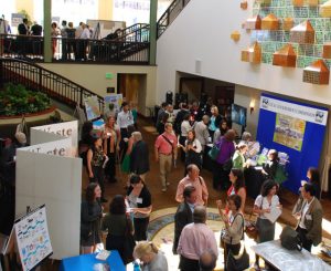 participants