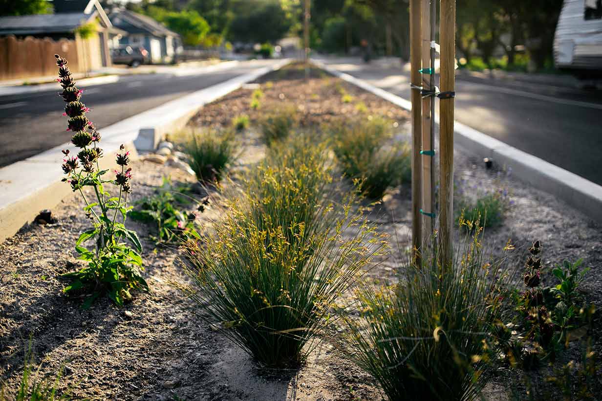 stormwater-management-landscaping